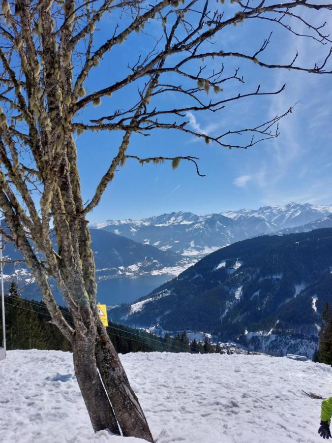 Chalet Peter 젤암제 외부 사진